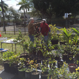 Mirco Bee Apiary Groundbreaking at the Urban Farming Institute